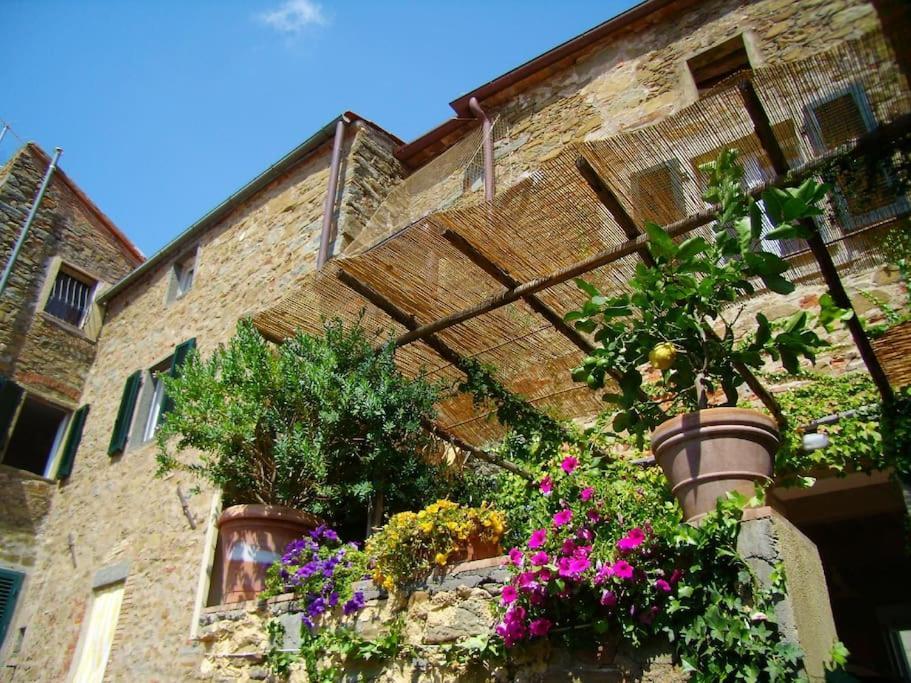 Near The Sea Big Panoramic House 2 Terraces In Lovely Village Montiano  Exterior foto